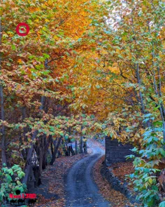 مادامی که تلخی زندگی دیگران را شیرین می کنی،