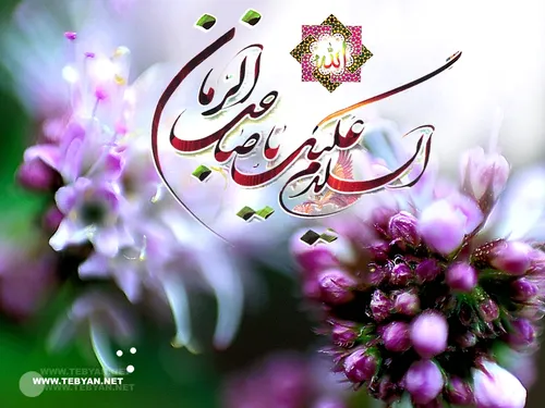 السلام علیک یا صاحب الزمان(عجل الله تعالی فرجه)