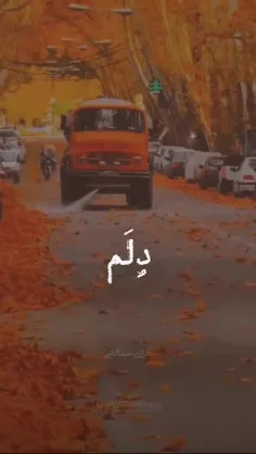 (پاییز زندگی)