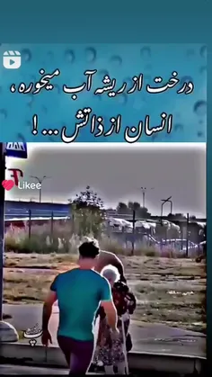 دقیقا افغانستان کابل هرات مزار شریف قندهار 