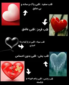 قلبت کدومه ؟! ❣
