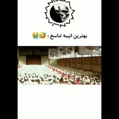 جررررررر 😂😂😂😂😂