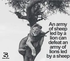 یه ارتش گوسفند به رهبری یک شیر، میتونه یه ارتش شیر که توس