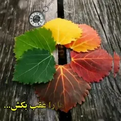 کیا یه ساعت خوب دارن که با دل اون ساعتشون رو کوک میکنن