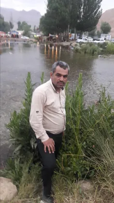 شخصی ...mosa 24170796