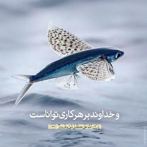 آیه گرافی