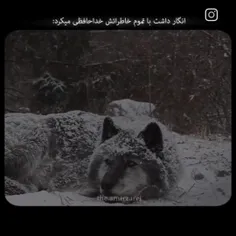 عاقبت من عاقبت آلافست  دوبار بخونش سطح درک خیلی بالا