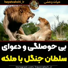 سلطان عصبانی