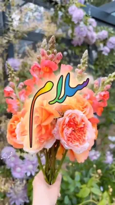 سلام صبحتون بخیر و به عشق