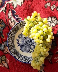 آرزو میکنم اگه توی رابطه ای رفتید، بی ارزش نشید، سبک شمرد