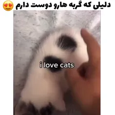 وخیش🥺