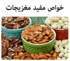 هر مغز خواصی دارد