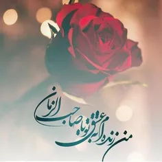 عکس نوشته ftemehzm 25390529