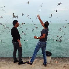 A man feeds seagulls flying over #Persian_Gulf. #Boushehr