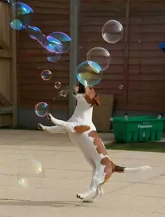 چه کیفی کرده ...بازی با حباب رنگی.