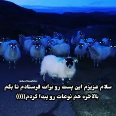 خودمونی..