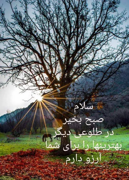 یکم دیر ولی