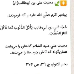 ✴ ️🍃  محبت علی بن ابیطالب(ع)