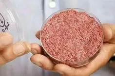 در سال 2013 اولین گوشت-تِک برگر با هزینه حدود 325 دلار کا