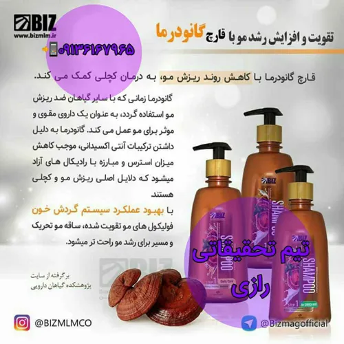 شامپوهای دکتربیز حاوی گانودرما