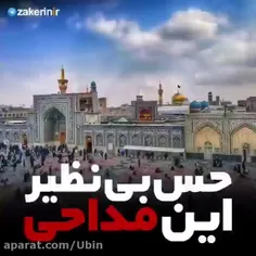 مداحی زیبای برای ولادت امام رضا ع

ولادت امام رضا مبارک 