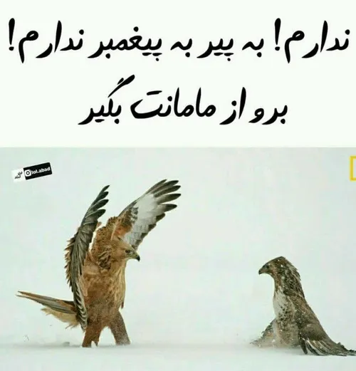 وقتی از بابام پول میخوام😂 😂 😂