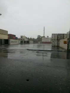 بارون امروز بوشهر