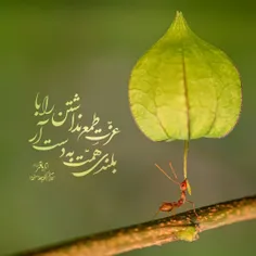 🔅امام باقر عليه السلام: 