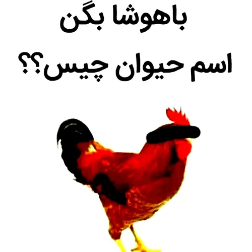 با هوشا بگن اسم این حیوان چیه عمران کسی بلد باشه😂😜😱