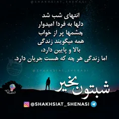 شب خوبی داشته باشید دوستان