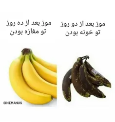 موز🍌