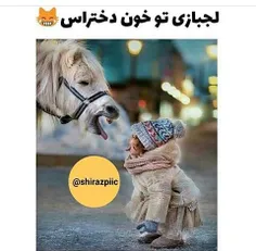 درصد لجبازیتو کامنت بذار😄