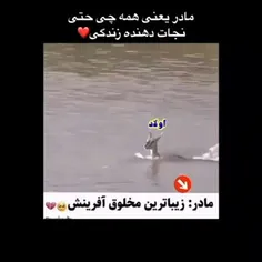 سلامتی هرچی ماده براش یه قلب بزارید ❤👌🥀