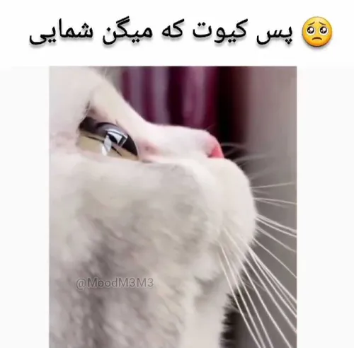 وای دلم می خواد بخورمش🤤