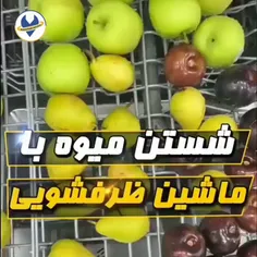َآموزش شستن میوه در ماشین ظرفشویی/کارآمد سرویس 