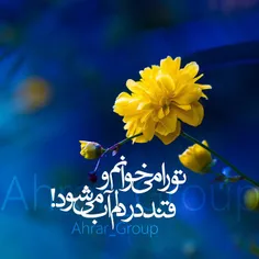 عاشقانه ها arman3 5406236