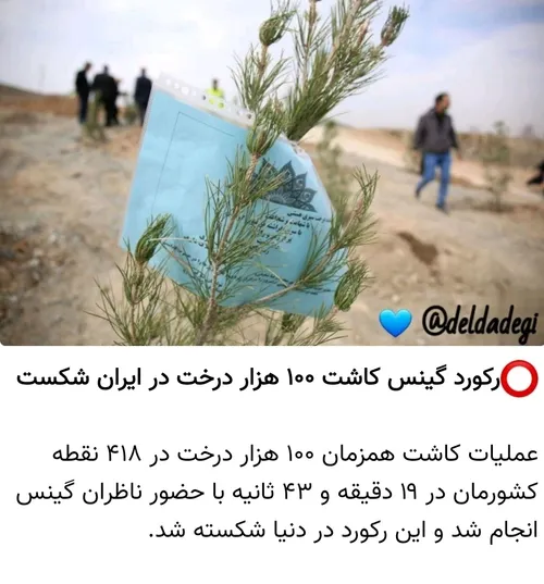 ⭕️رکورد گینس کاشت ۱۰۰ هزار درخت در ایران شکست
