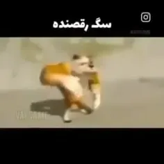 پس حمایت هاتون کو 