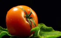 به علت خودکفایی در تولید گوجه اسم گوجه فرنگی به گوجه ایرا