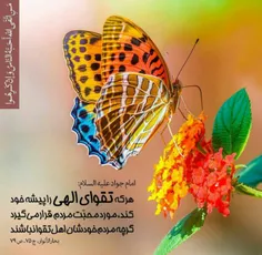 مذهبی hassanermiya 20598849