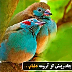 عکس نوشته poorya.b.h 29260012