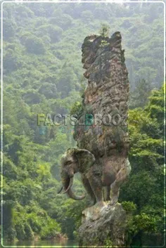 صخره فیل چین
