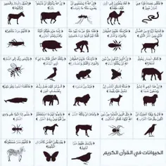 حیواناتی که اسمشون توی قرآن اومده