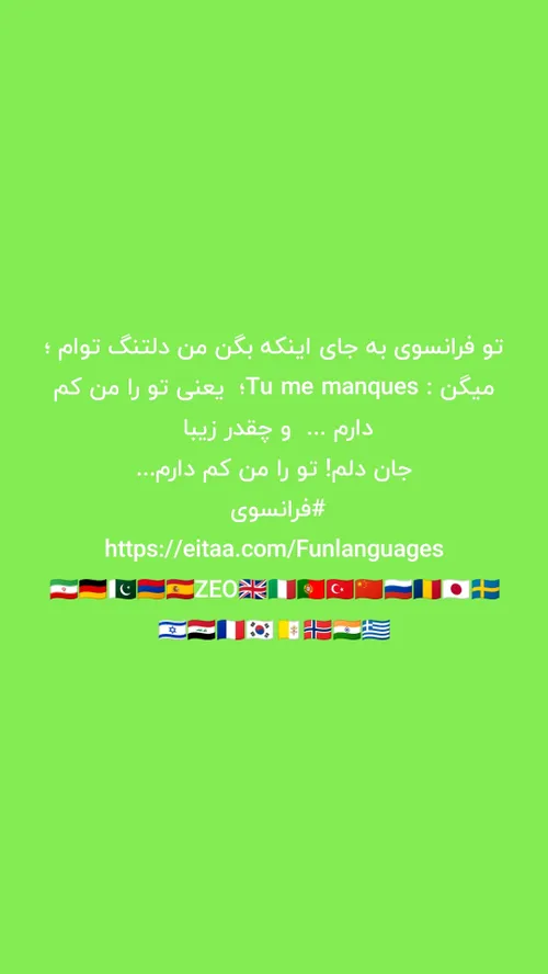 فرانسوی ها