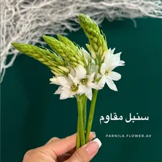 اسم انواع گل