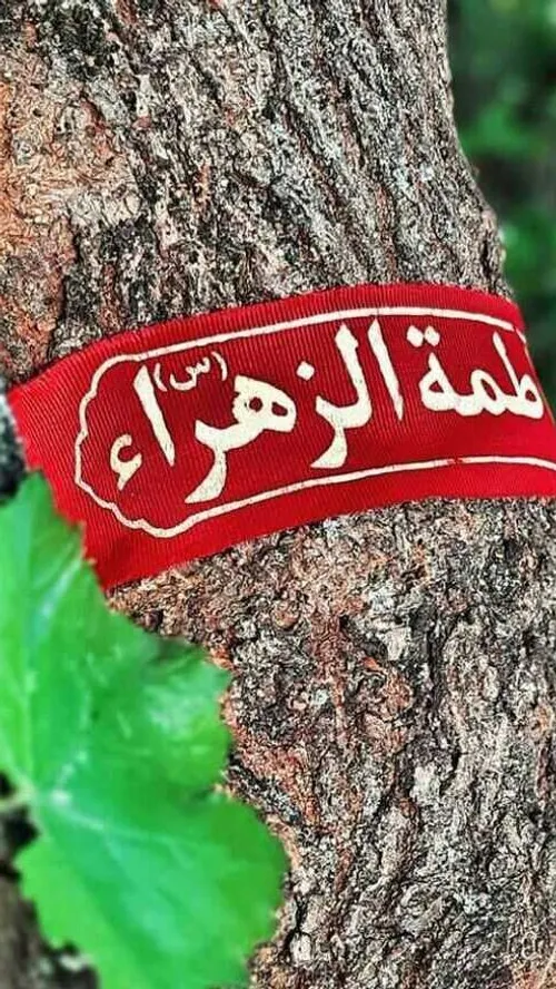 یافاطمه الزهرا شفاعتمون کن😔 🌹 🍃