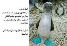 .ای کارته ها....