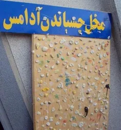 ؟؟