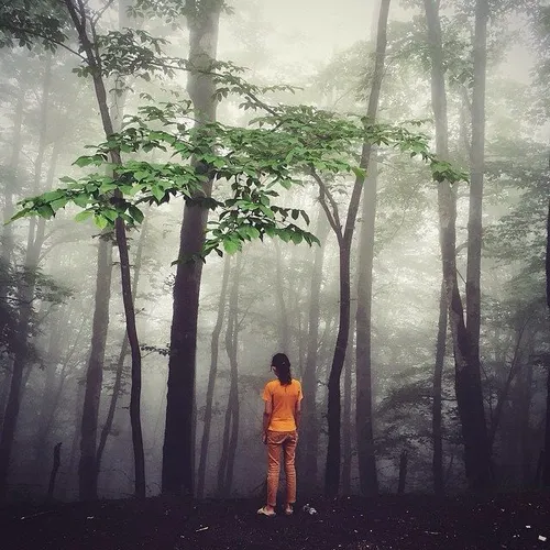 A teenage girl at one of the forests of Talesh City on a 