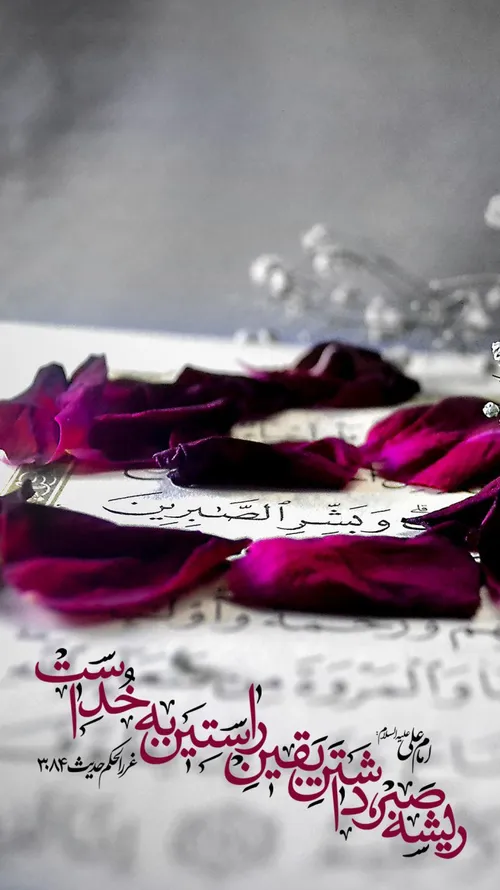 💖 امام علی علیه السلام💖